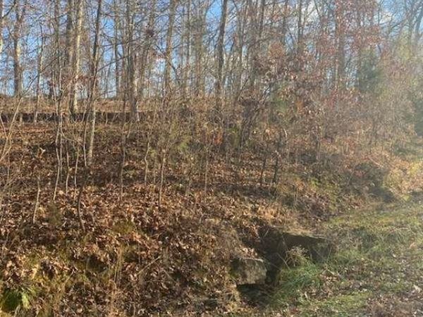 18 Wagon Creek Loop, Creal Springs, IL 62922