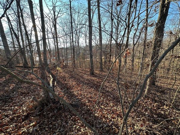 13 Wagon Creek Loop, Creal Springs, IL 62922