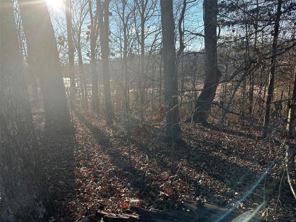 14 Wagon Creek Loop, Creal Springs, IL 62922