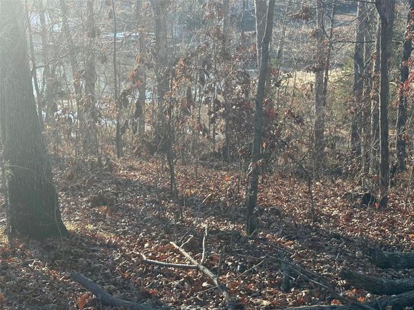 17 Wagon Creek Loop, Creal Springs, IL 62922