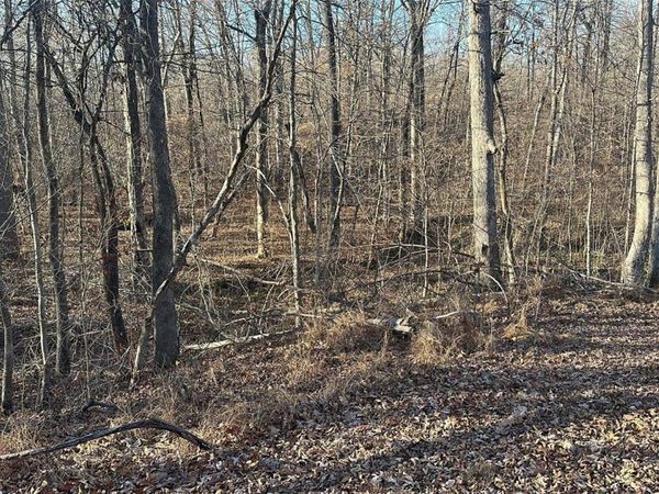 16 Wagon Creek Loop, Creal Springs, IL 62922