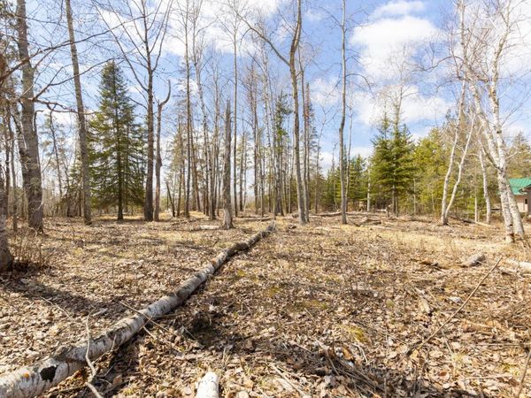 xxxx County 37, Laporte, MN 56461