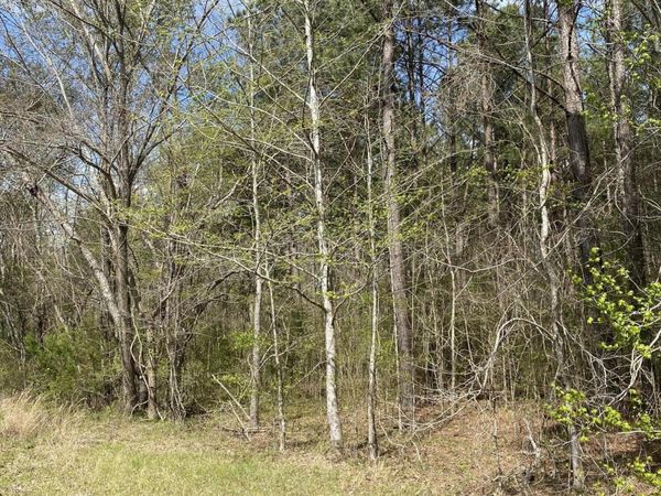 Dampeer Road, Canton, MS 39046