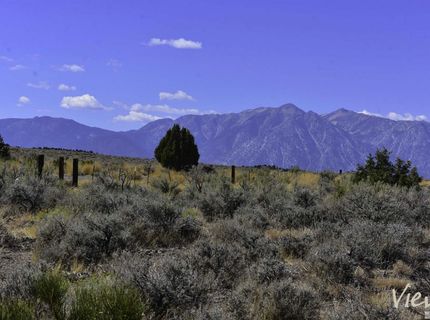 1167 Out-r-way, Gardnerville, NV 89410 Photo