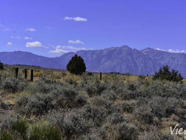 1167 Out-R-Way, Gardnerville, NV 89410