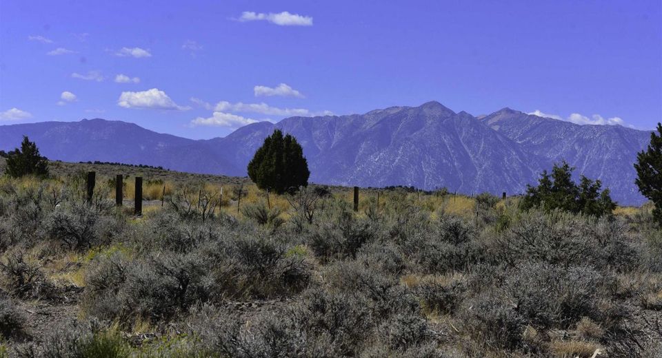 1167 Out-r-way, Gardnerville, NV 89410 Photo