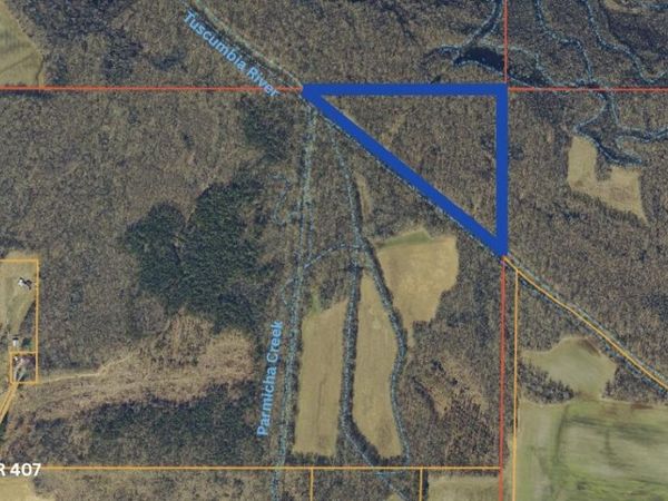 County Road 407, Corinth, MS 38834