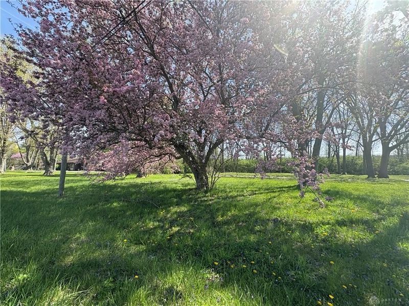 10406 Primrose, New Paris, OH 45347 Photo 1