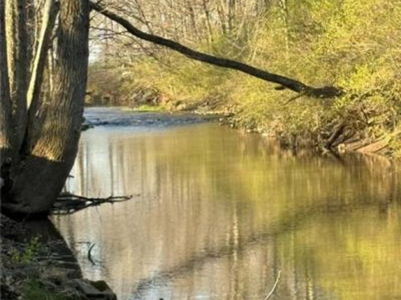 10406 Primrose, New Paris, OH 45347 Photo 4