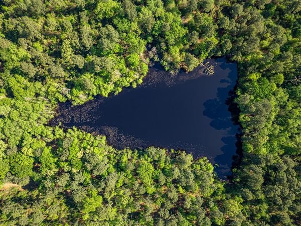 01 County Road 3322, Leesburg, TX 75451