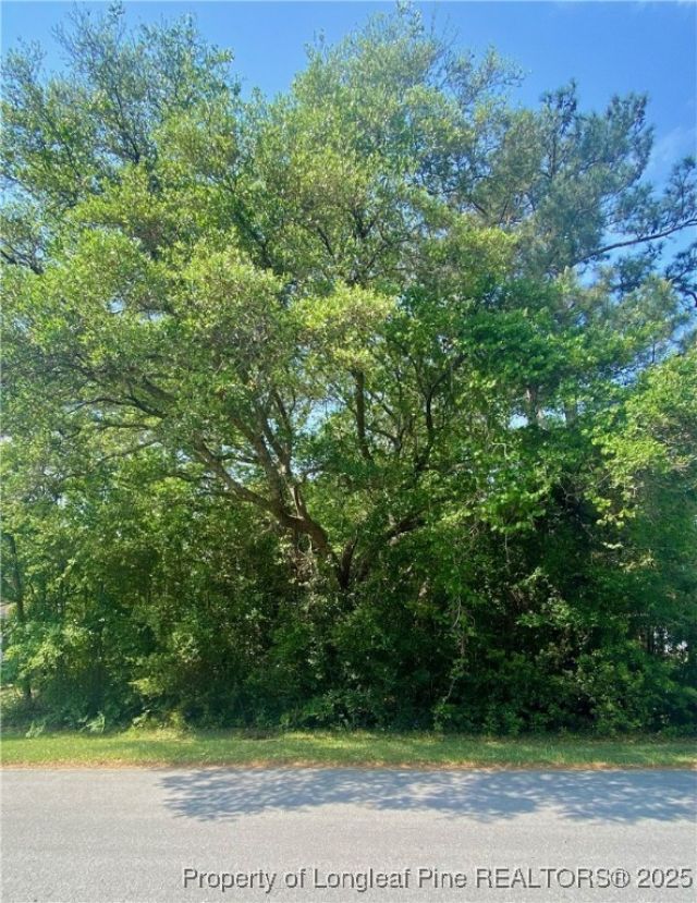 1365 Riverview Drive Sw, Shallotte, NC 28470 Main Photo