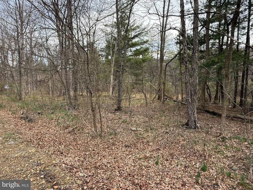 Timberlake Estates - Lot 5, New Creek, WV 26743 Main Photo