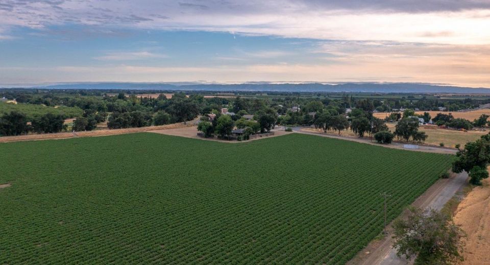 38067 County Road 17, Woodland, CA 95695 Photo
