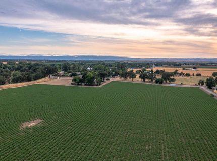 38067 County Road 17, Woodland, CA 95695 Photo