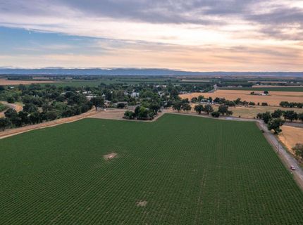 38067 County Road 17, Woodland, CA 95695 Photo