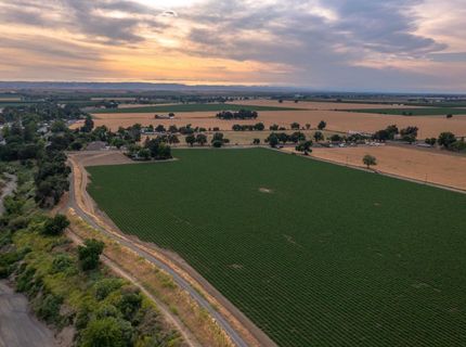38067 County Road 17, Woodland, CA 95695 Photo