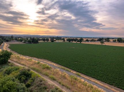 38067 County Road 17, Woodland, CA 95695 Photo
