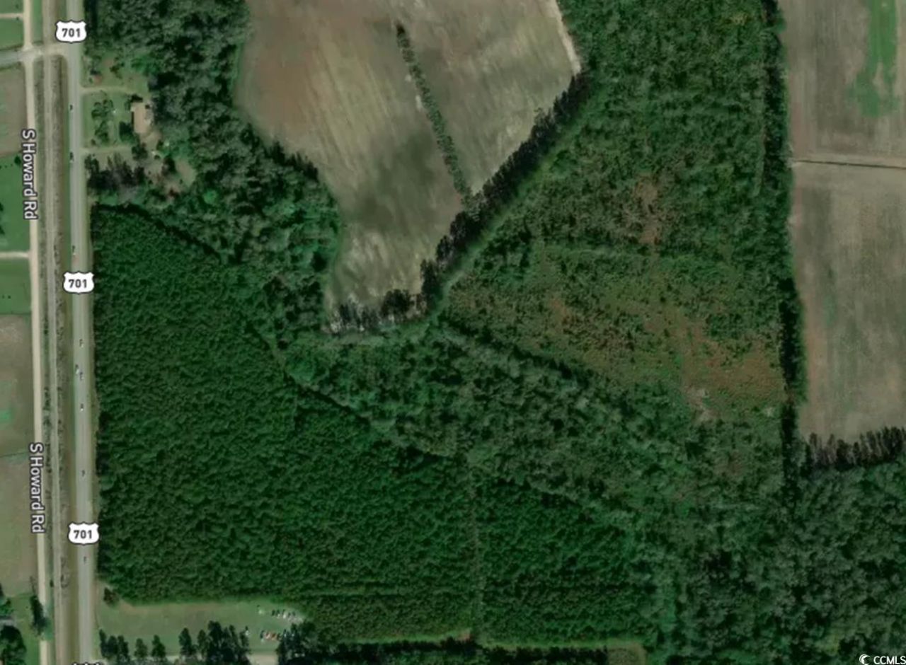 Tbd100 Highway 701 North Photo 5