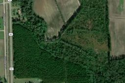 Tbd100 Highway 701 North photo 4