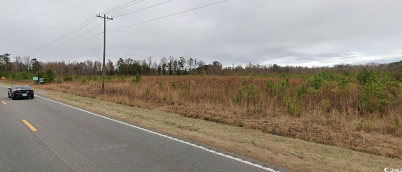 Tbd100 Highway 701 North Photo 7