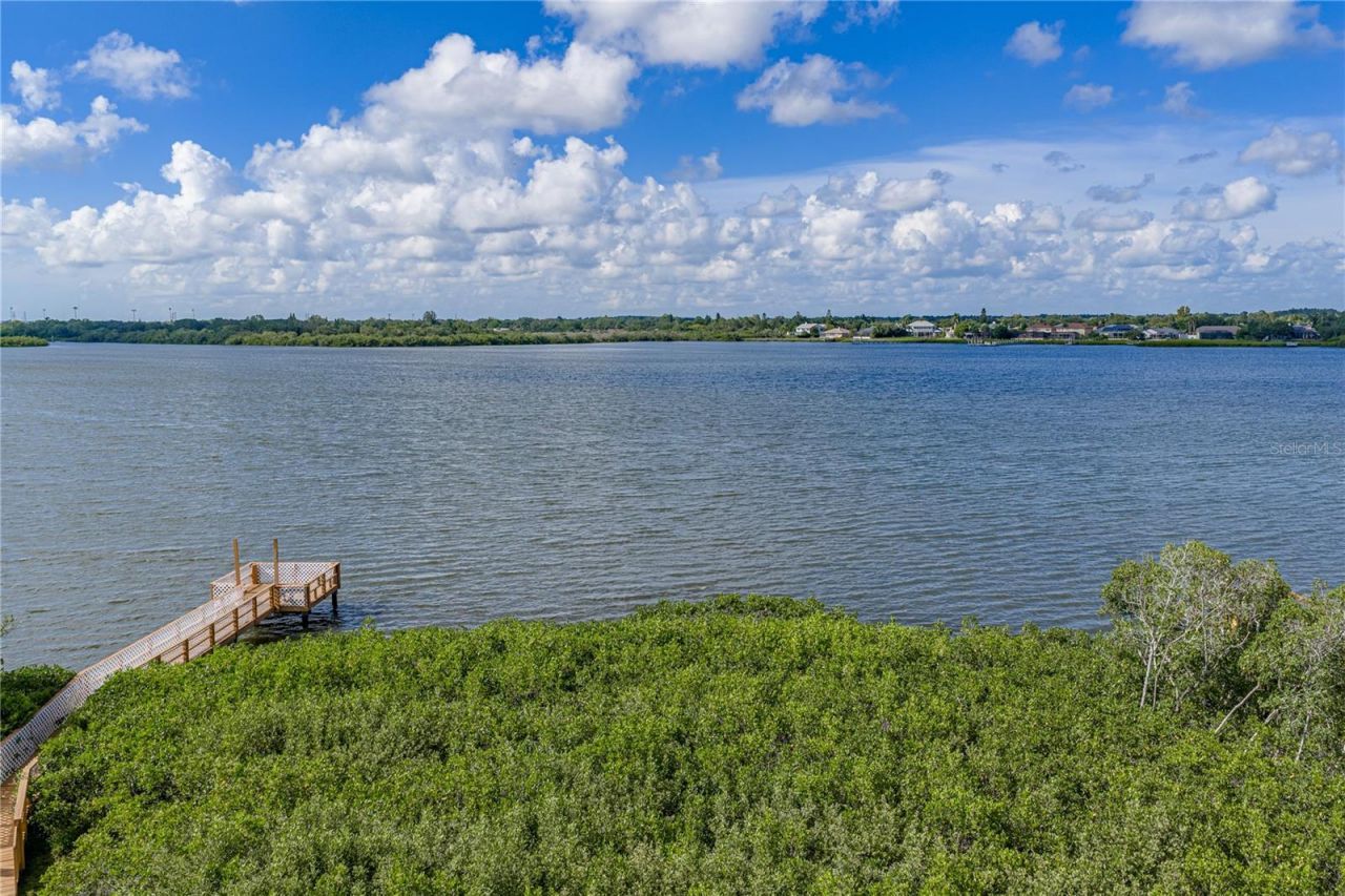 3484 Shore Drive, Safety Harbor, FL 34695 Photo