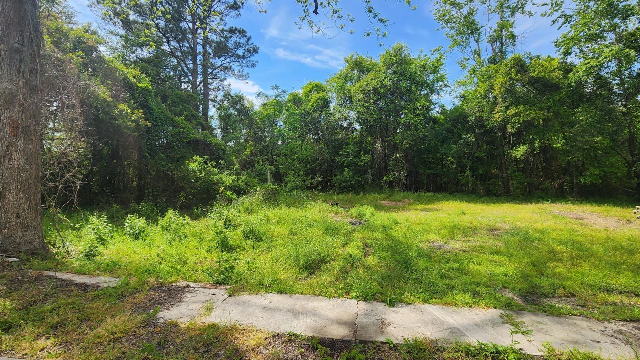 2099 Legrand Smoak Street Photo 91