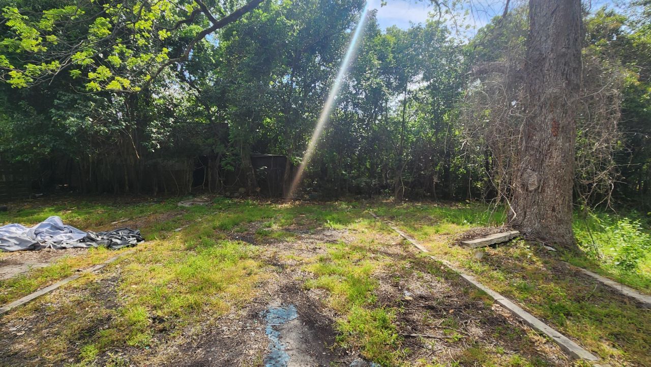 2099 Legrand Smoak Street Photo 92