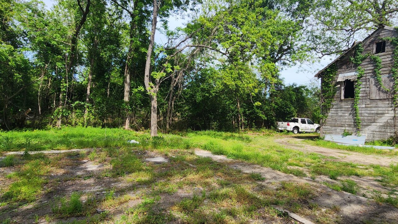 2099 Legrand Smoak Street Photo 95