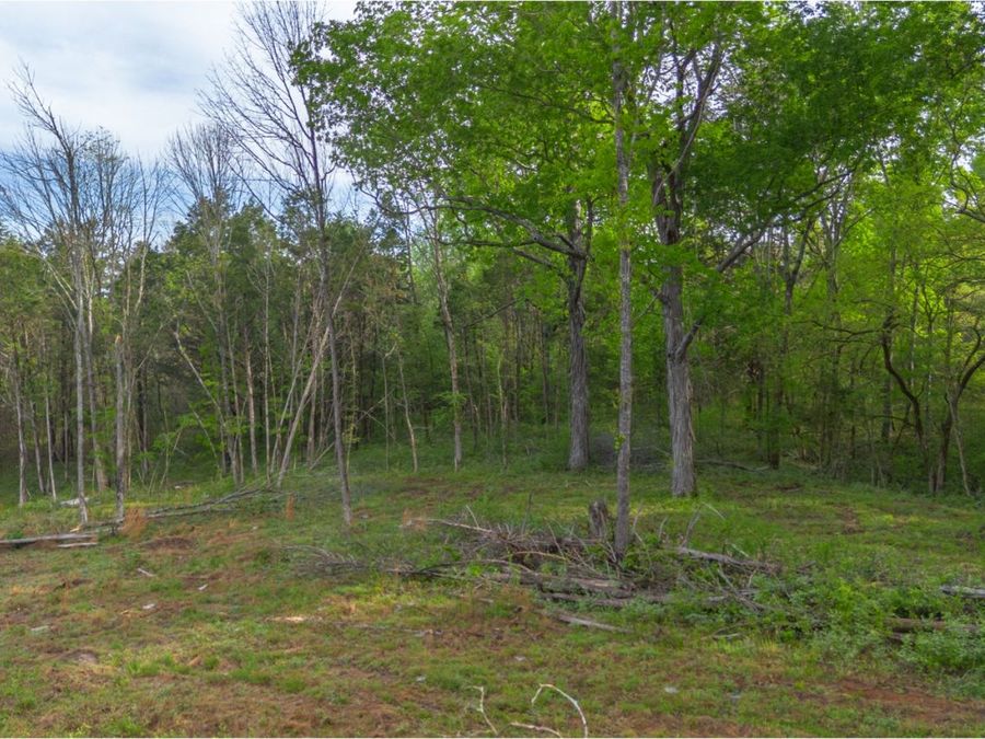 Property Image 11