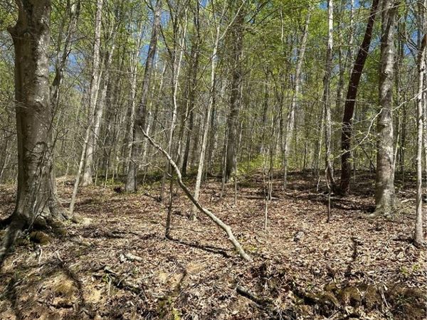Lot #2 Sugartree Road, Alkol, WV 25501