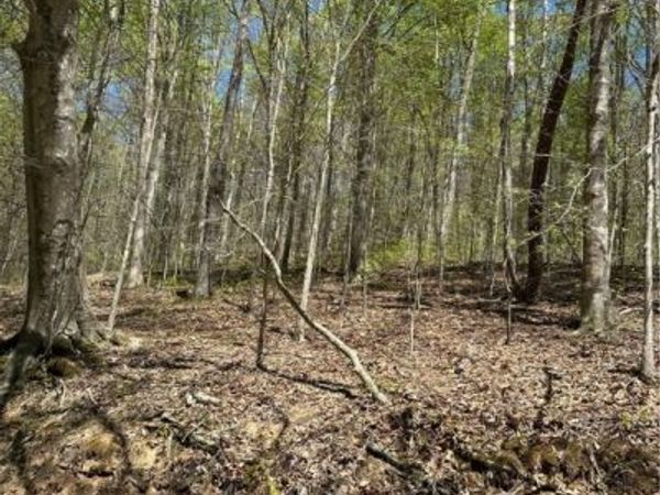 Lot #2 Sugartree Road, Alkol, WV 25501