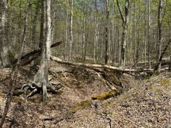 Lot #1 Sugartree Road, Alkol, WV 25501