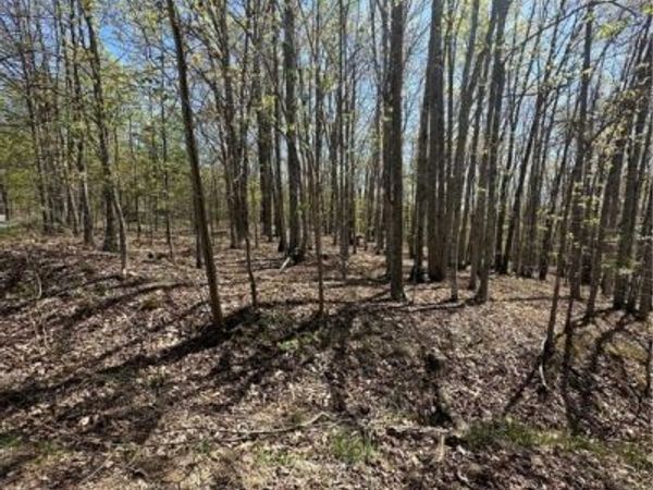 Lot 5 Lucky Lane, Alkol, WV 25501