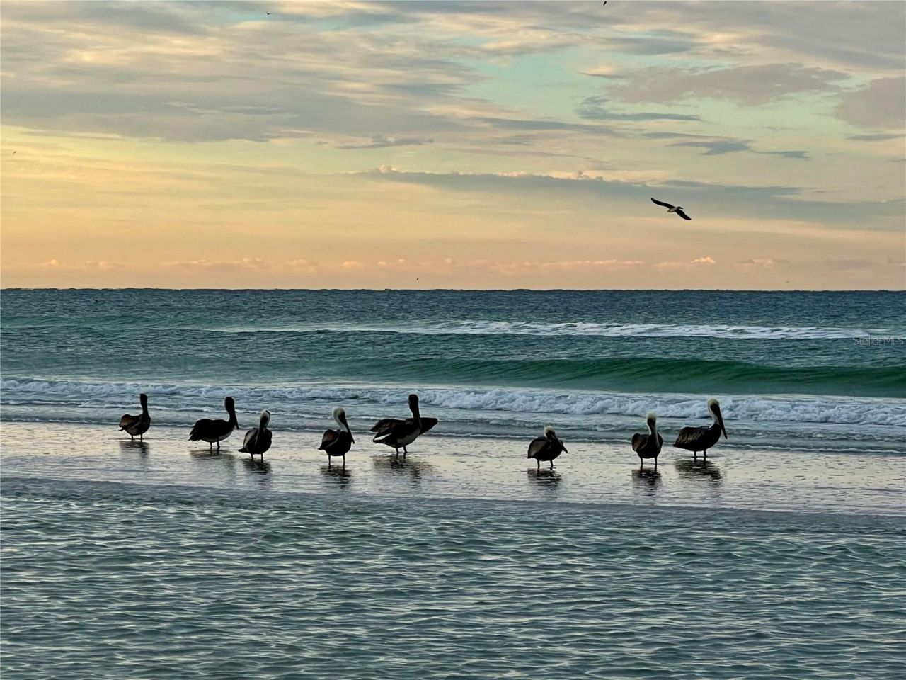 5432 Cape Leyte Drive, Sarasota, FL 34242 Photo