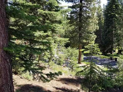 12574 Saint Moritz Lane, Truckee, CA 96161 Photo