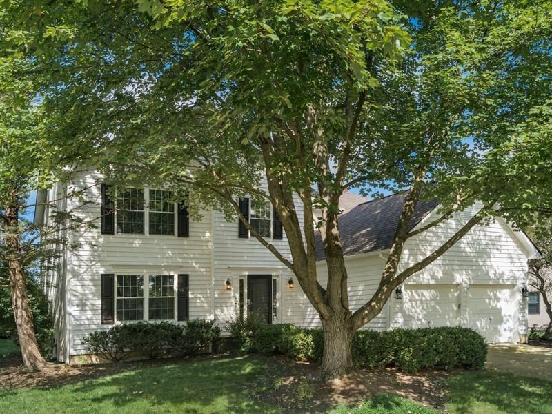 255 Winter Hill Place, Powell, OH 43065 Photo 1