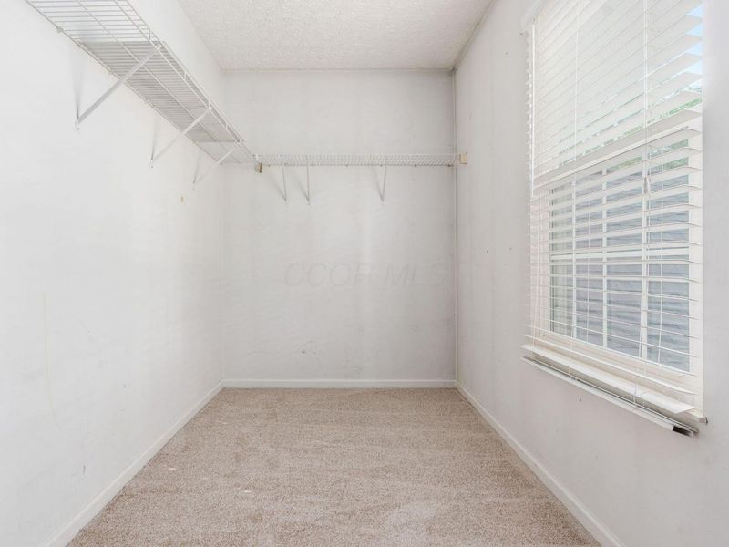 255 Winter Hill Place, Powell, OH 43065 Photo 29