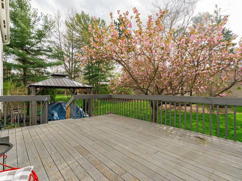 255 Winter Hill Place, Powell, OH 43065 Photo 38