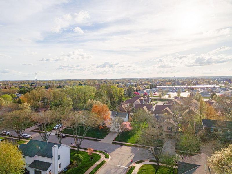 255 Winter Hill Place, Powell, OH 43065 Photo 40