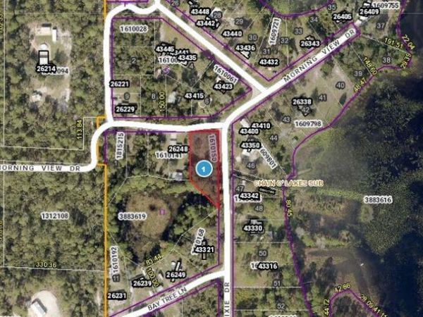 MORNING VIEW DRIVE, PAISLEY, FL 32767