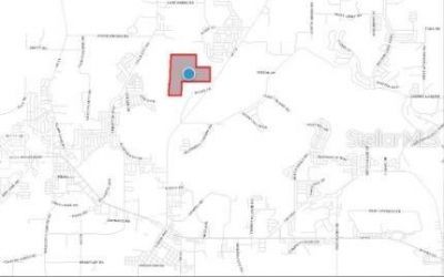 Sr-19, Groveland, FL 34736 Photo