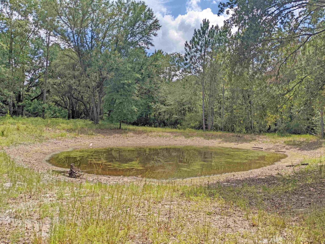 12778 S Cr 53, Lee, FL 32059 Photo