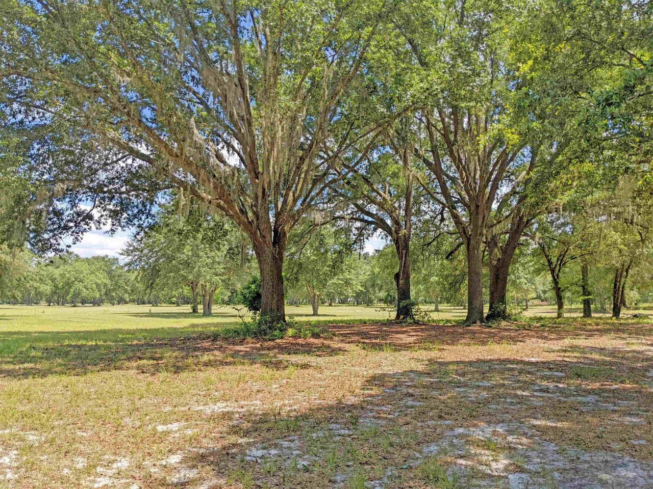 12778 S Cr 53, Lee, FL 32059 Photo