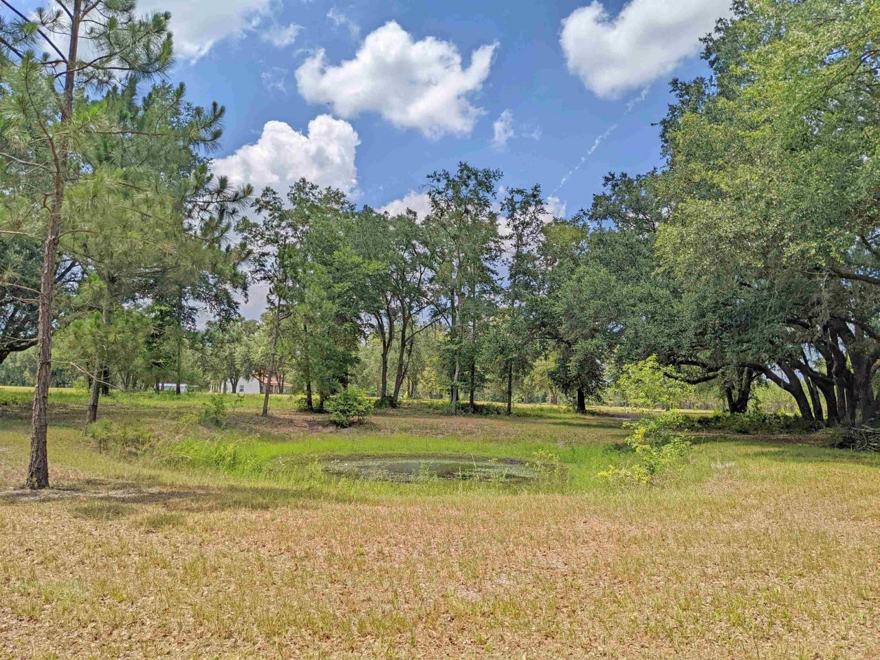 12778 S Cr 53, Lee, FL 32059 Photo