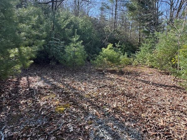 7797 Huskins Drive, Newland, NC 28657