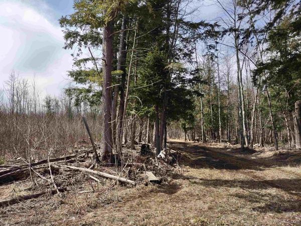 TBD Off Ohman Road, Arvon Twp, MI 49946