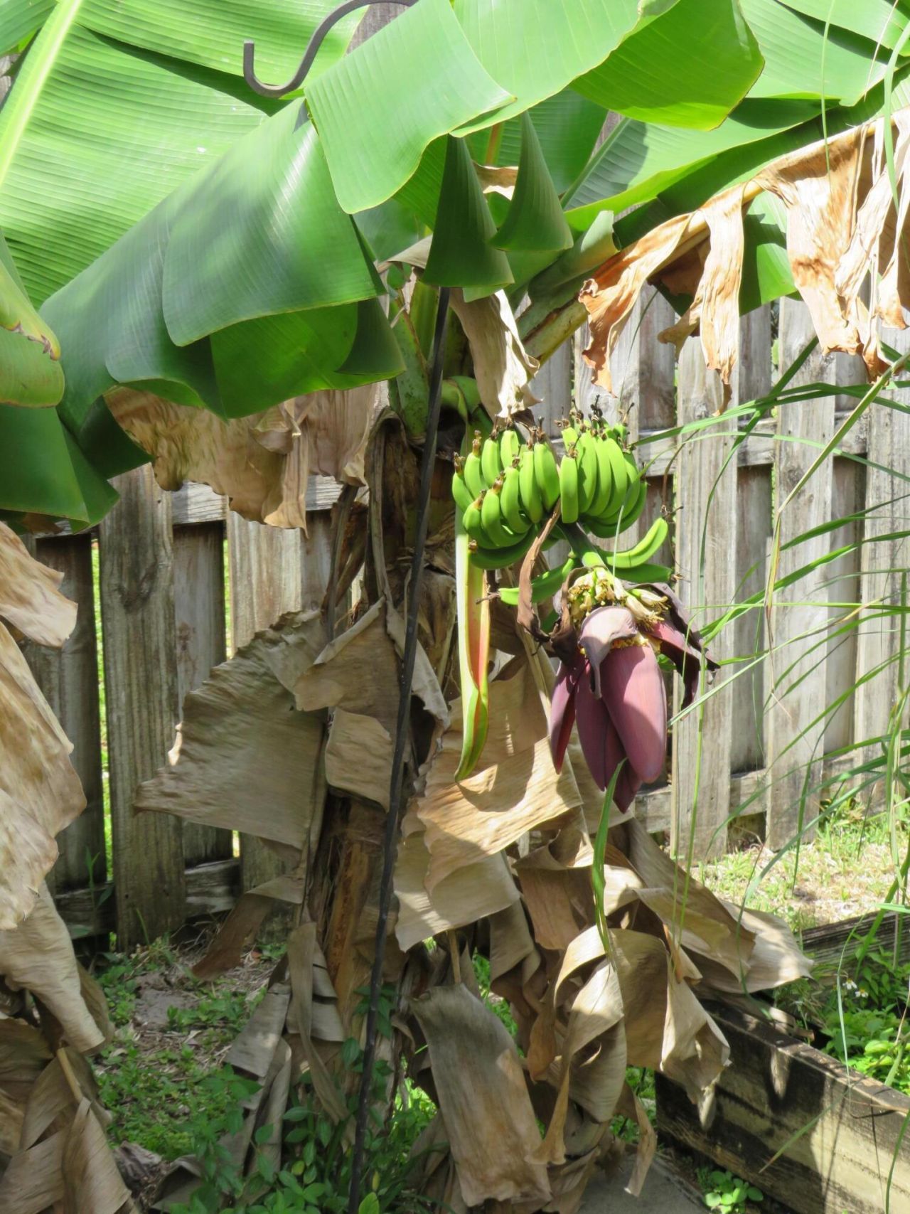 3207 NW 89th Terrace, Coral Springs, FL 33065 Photo