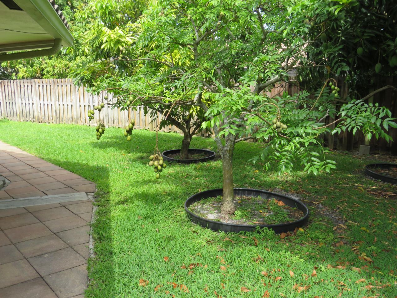 3207 NW 89th Terrace, Coral Springs, FL 33065 Photo