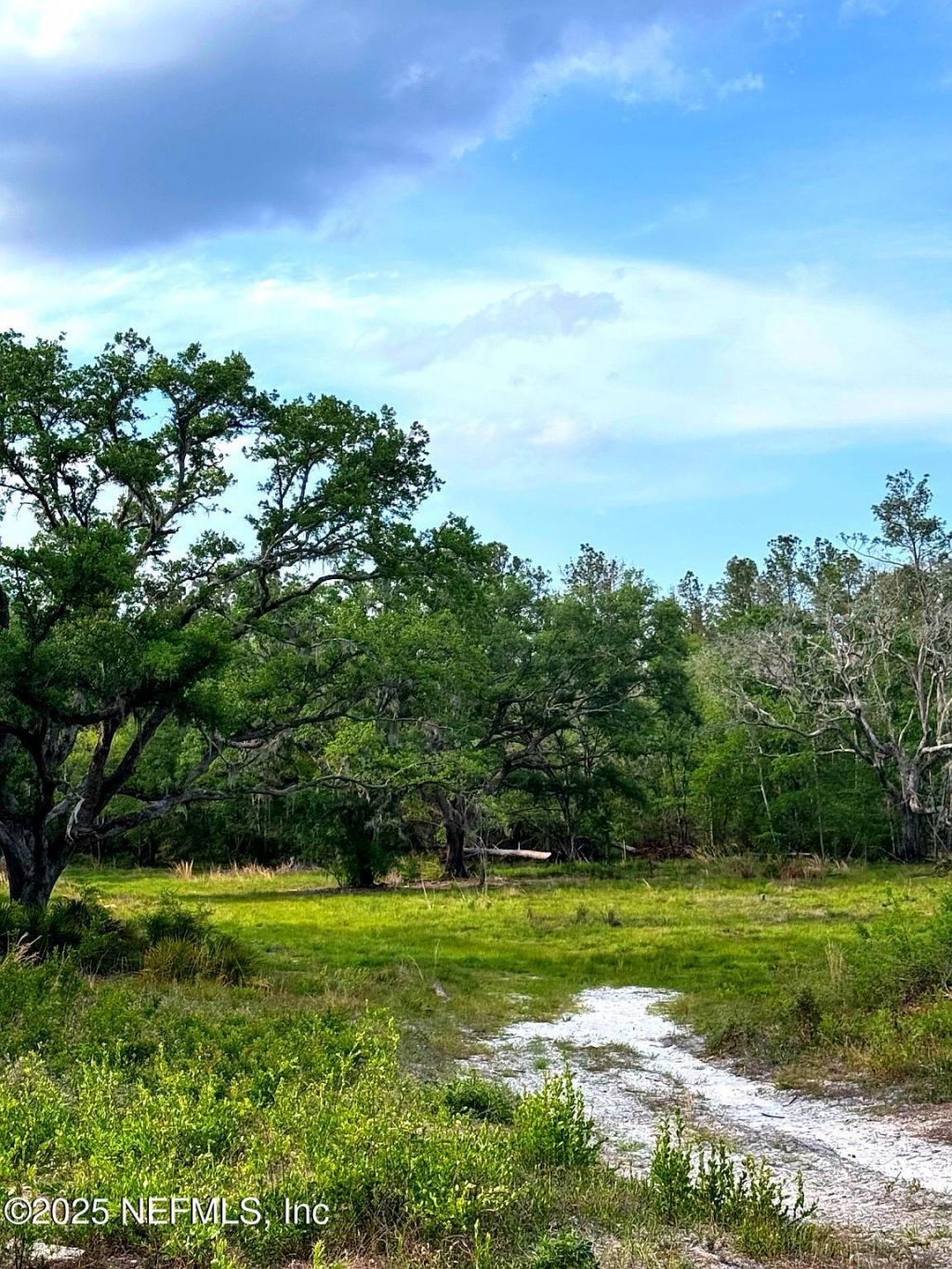 2006 NW Nw Thunder Road, White Springs, FL 32096 Photo