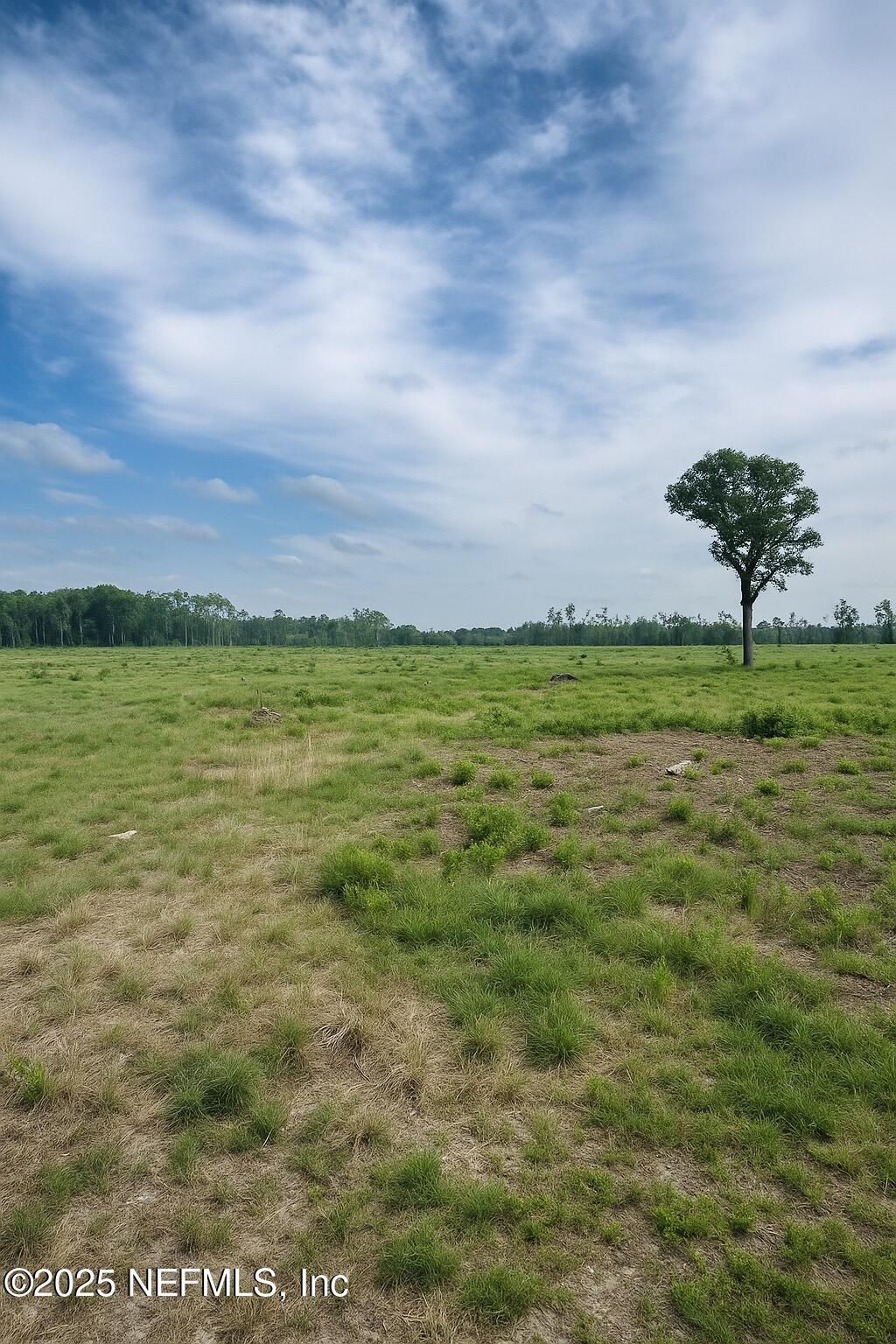 2006 NW Nw Thunder Road, White Springs, FL 32096 Photo